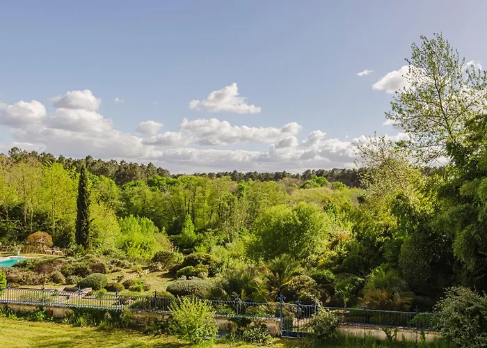 Chateau De La Grotte Sore